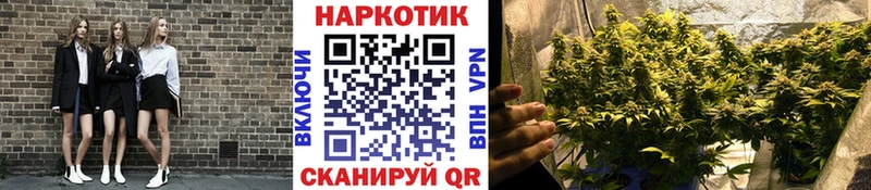 Наркота Буйнакск A-PVP  Конопля  АМФ  мега как зайти  КОКАИН  Метадон 