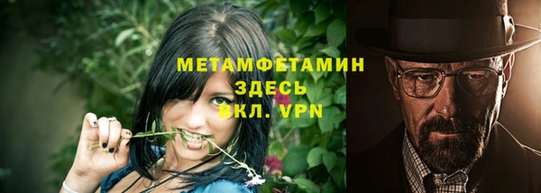 шишки Белокуриха