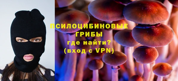 соль курить ск Семёнов
