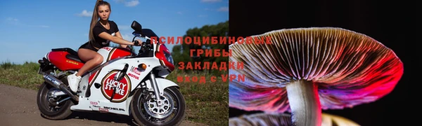 mdpv Белоозёрский