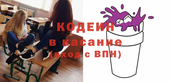 шишки Белокуриха