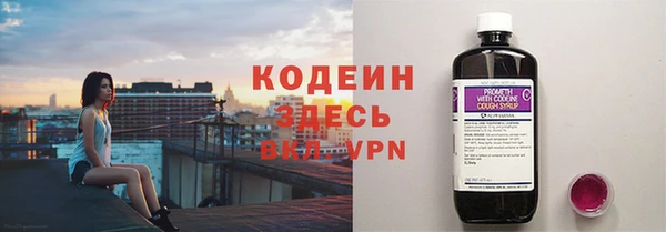 шишки Белокуриха