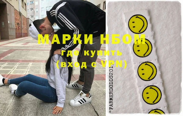 шишки Белокуриха