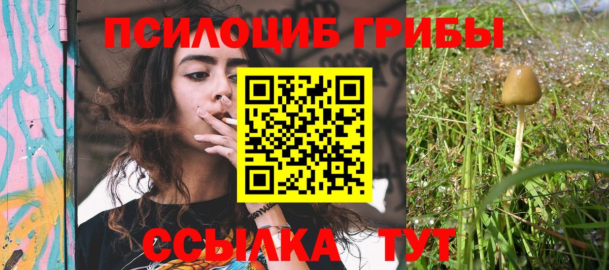 Псилоцибиновые грибы мухоморы  Вход с VPN  Псилоцибиновые грибы прущие грибы  Буйнакск 